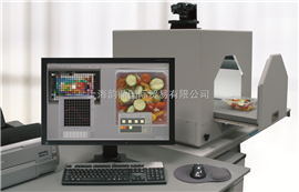 DigiEyeDigiEye数字电子眼