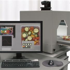 DigiEyeVerivide汽车内饰用拍照式测色系统